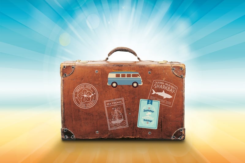 Luggage Pack